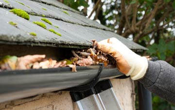 gutter cleaning Stanwardine In The Wood, Shropshire