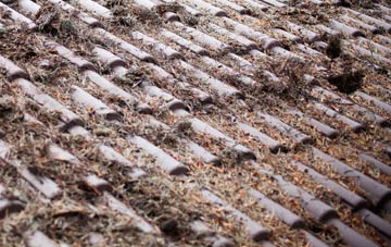 Stanwardine In The Wood roof cleaning companies