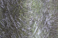 Stanwardine In The Wood fibreglass roof work